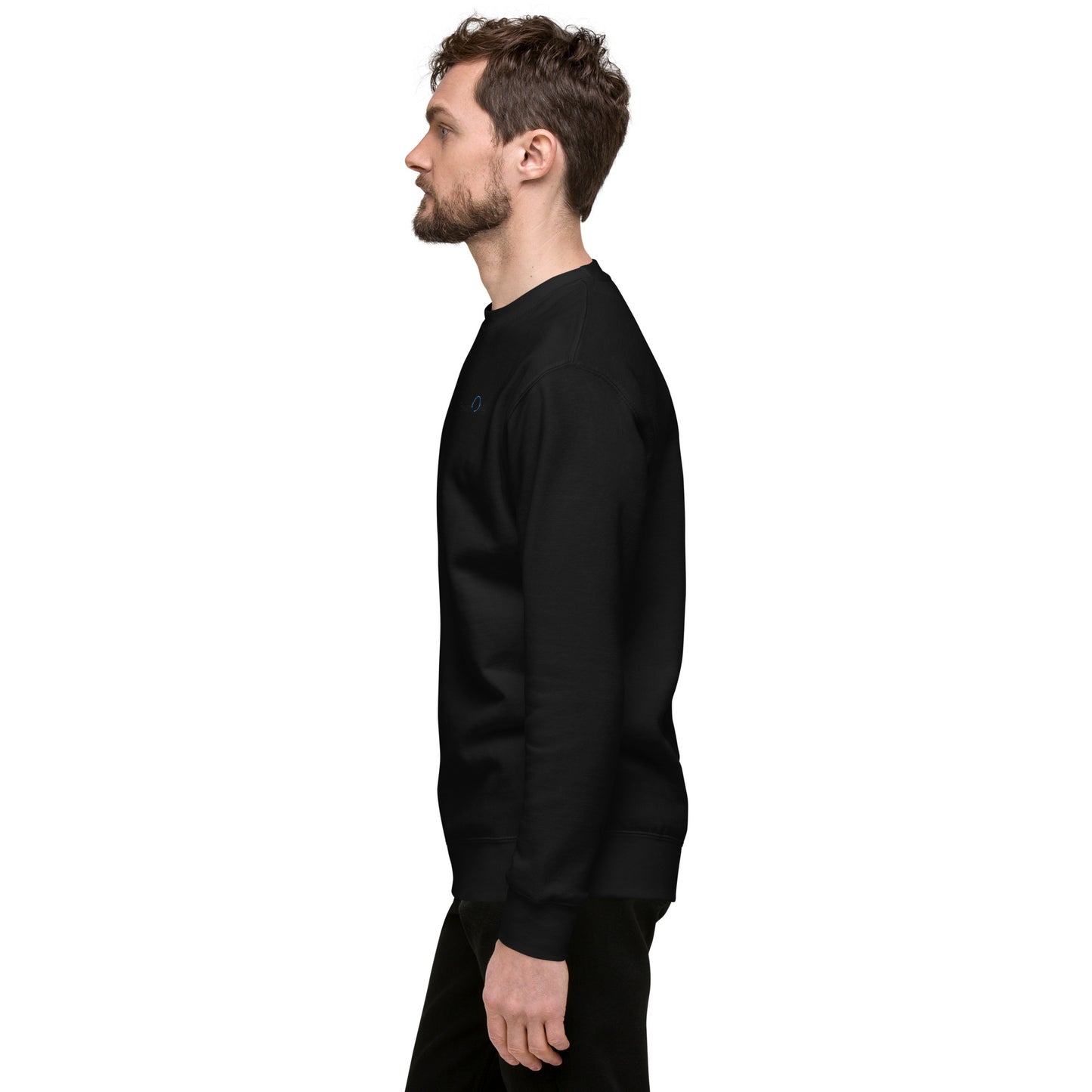 Premium Unisex Crewneck (TravelOnly Black Logo)