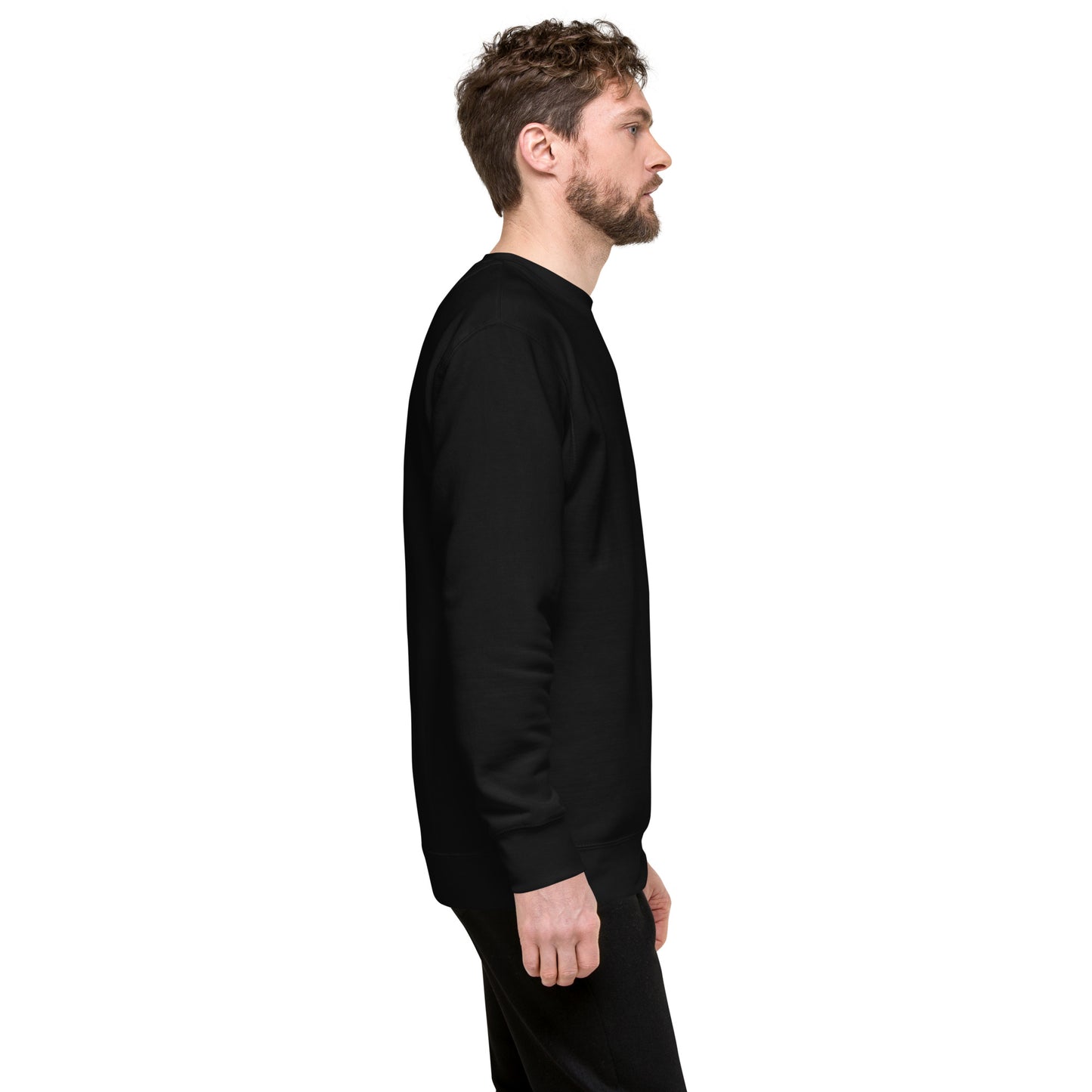 Premium Unisex Crewneck (TravelOnly Black Logo)